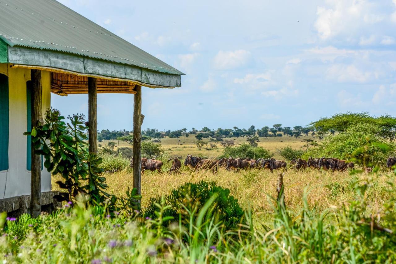 Africa Safari Serengeti Ikoma Exterior foto